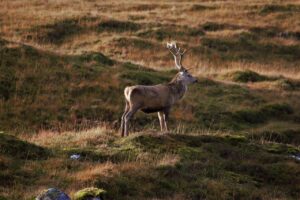 Dagens Horoskop - Jomfruen 25-07-2025