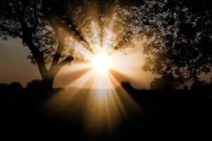 Dagens Horoskop - Tvillingen 26-07-2025