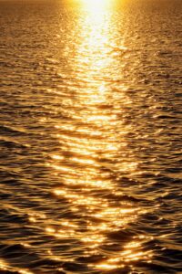 Dagens Horoskop - Jomfruen 29-07-2025
