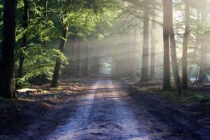 Dagens Horoskop - Skorpionen 22-08-2025