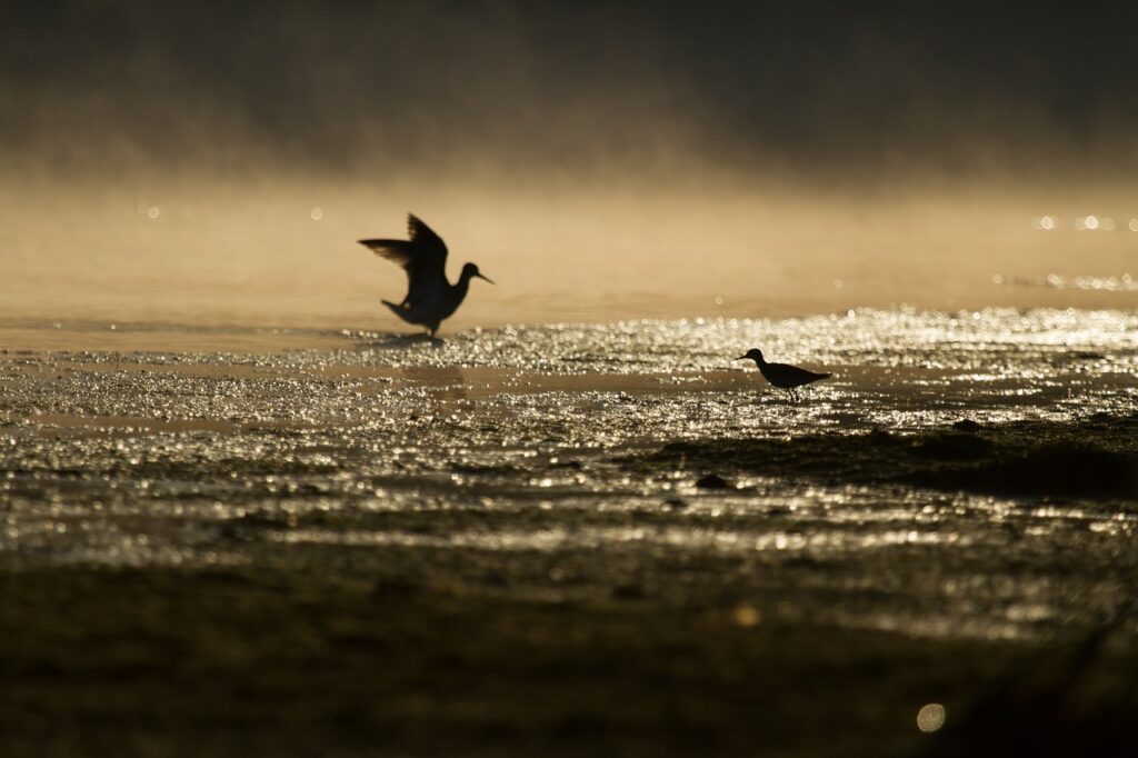 Dagens Horoskop - Vaederren 09-08-2025