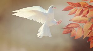 Dagens Horoskop - Jomfruen 15-08-2025