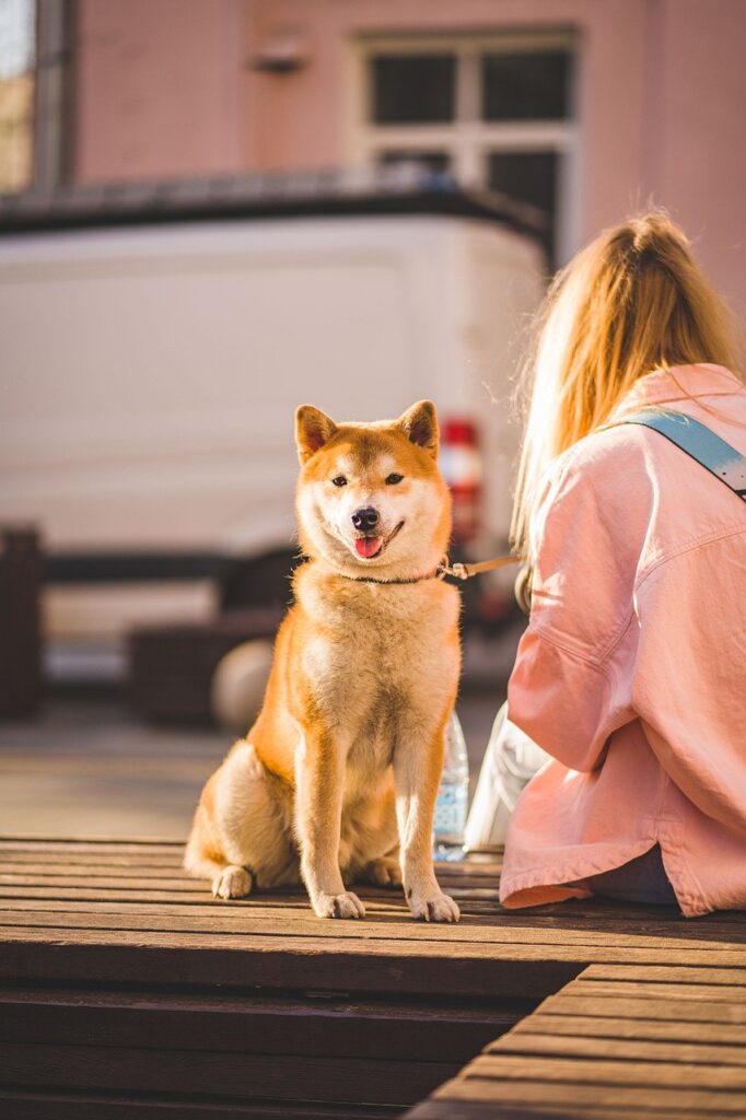 Dagens Horoskop - Jomfruen 11-08-2025