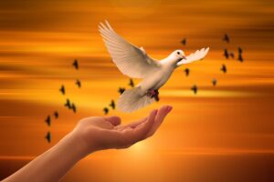 Dagens Horoskop - Jomfruen 25-08-2025