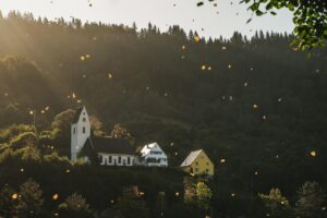 Dagens Horoskop - Krebsen 30-08-2025