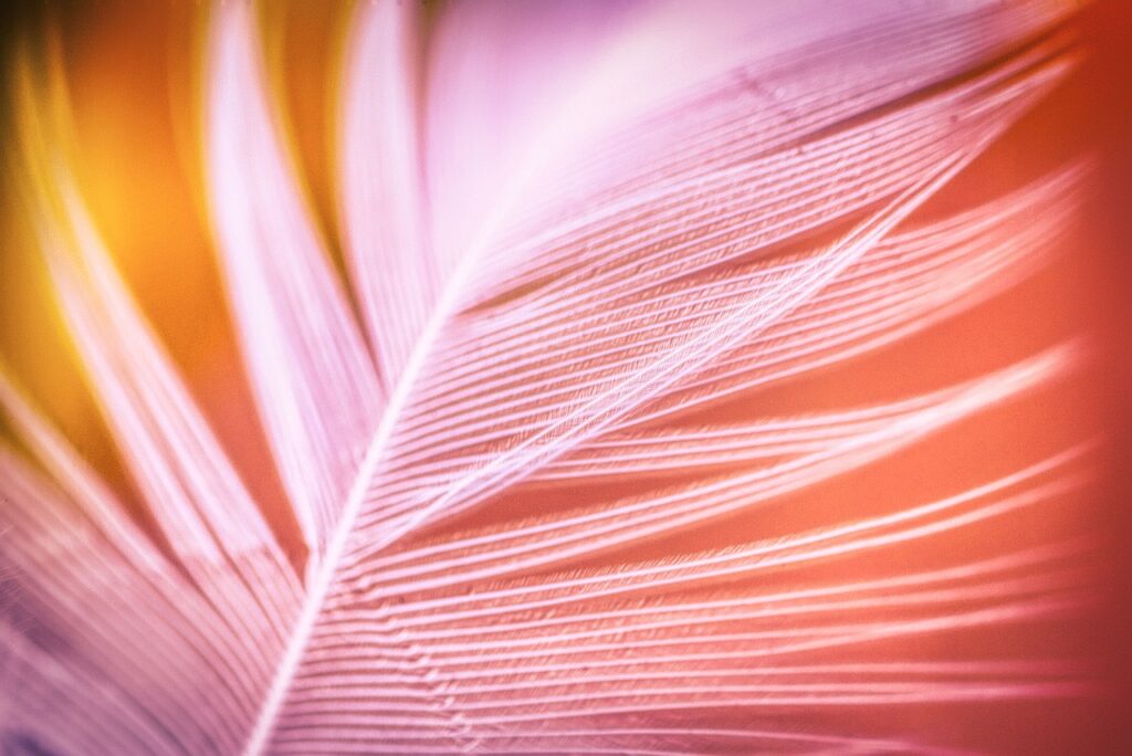 Dagens Horoskop - Skorpionen 27-08-2025