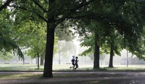 Dagens Horoskop - Tyren 24-08-2025