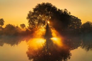 Dagens Horoskop - Vaederren 28-08-2025