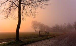 Dagens Horoskop - Vaederren 29-08-2025