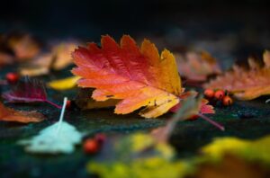 Dagens Horoskop - Stenbukken 26-09-2025