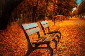 Dagens Horoskop - Skorpionen 29-09-2025