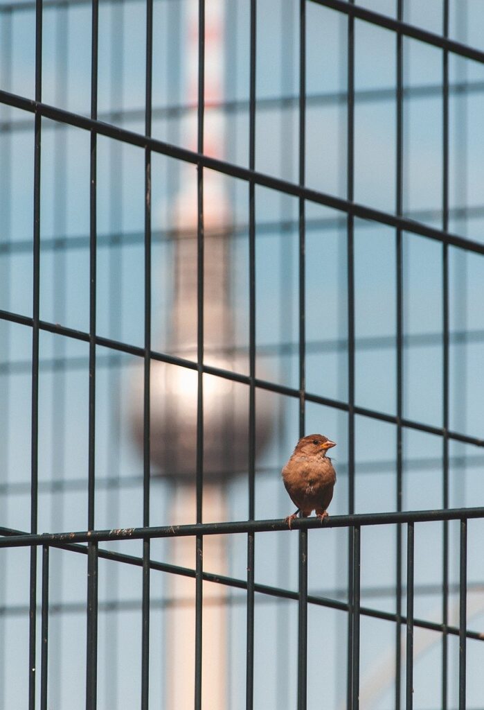 Dagens Horoskop - Krebsen 20-09-2025