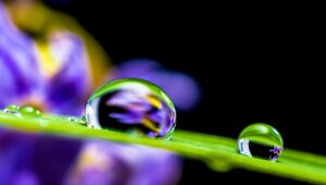 Dagens Horoskop - Vaederren 13-09-2025