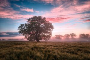 Dagens Horoskop - Vaederren 21-09-2025