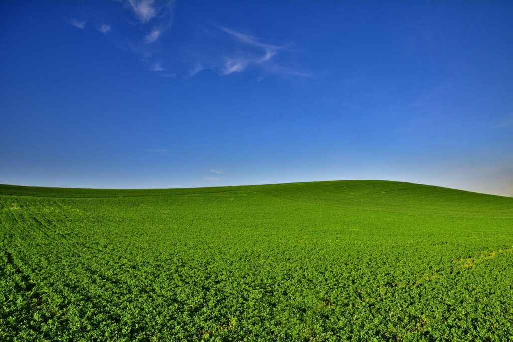 Dagens Horoskop - Fisken 15-09-2025