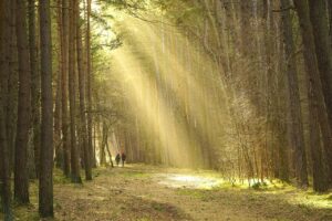 Dagens Horoskop - Krebsen 26-09-2025