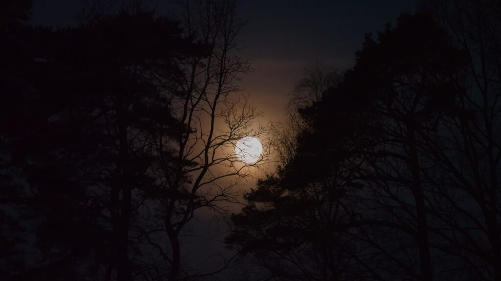 Dagens Horoskop - Fisken 21-09-2025