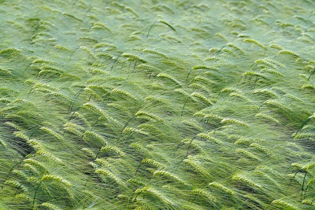 Dagens Horoskop - Skorpionen 04-09-2025