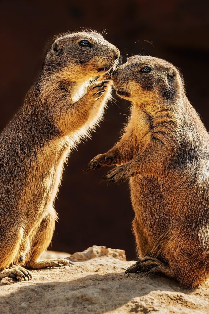 Dagens Horoskop - Løven 07-09-2025