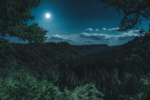 Dagens Horoskop - Tyren 20-09-2025