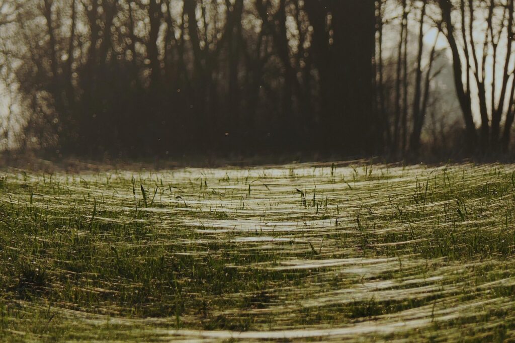 Dagens Horoskop - Løven 20-09-2025