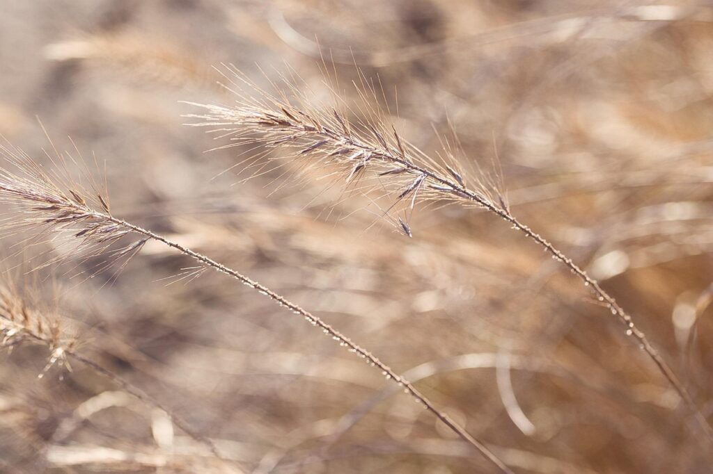 Dagens Horoskop - Tyren 26-09-2025