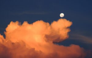 Dagens Horoskop - Skytten 02-10-2025