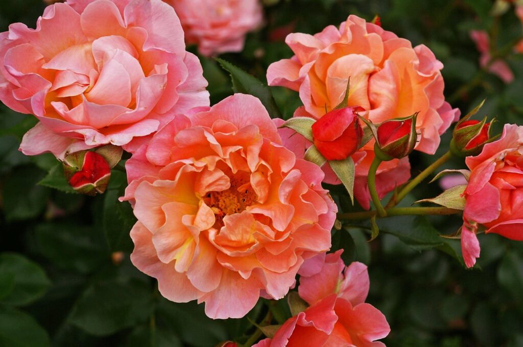 Dagens Horoskop - Tvillingen 03-10-2025