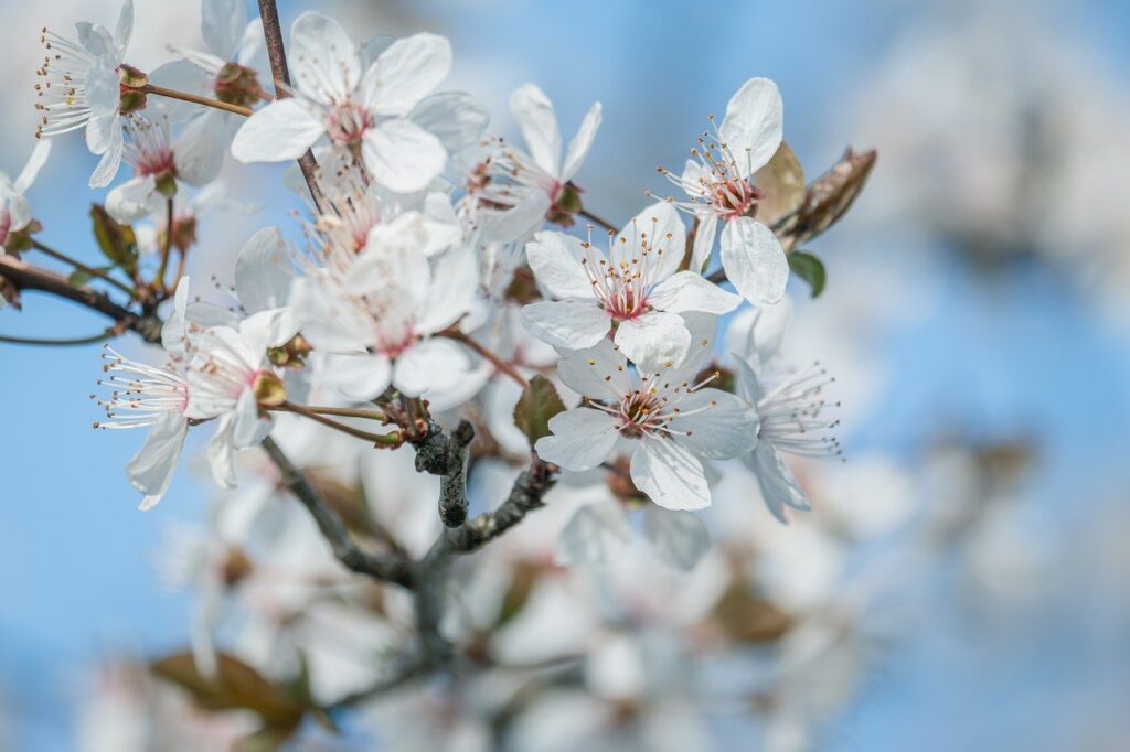 Dagens Horoskop - Vægten 17-03-2026
