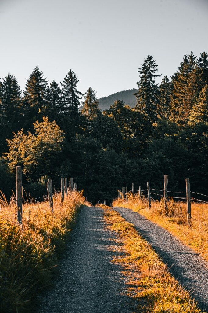 Dagens Horoskop - Tvillingen 29-03-2026