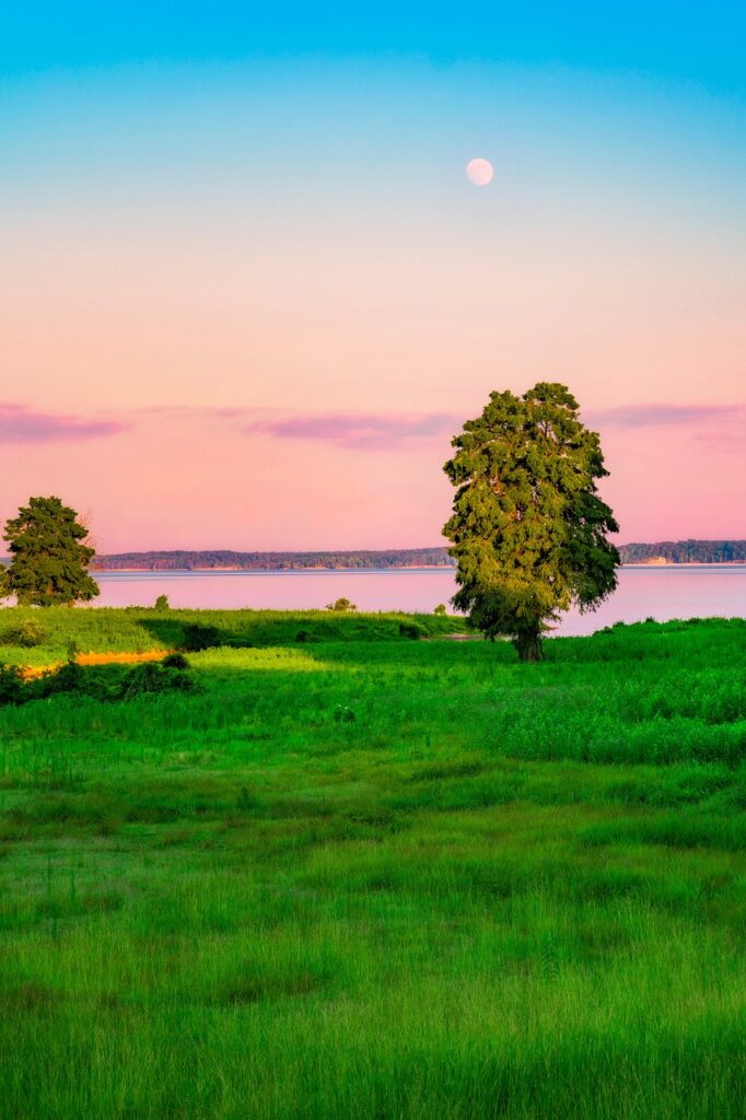 Dagens Horoskop - Løven 31-03-2026