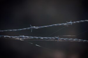 Dagens Horoskop - Jomfruen 20-03-2026