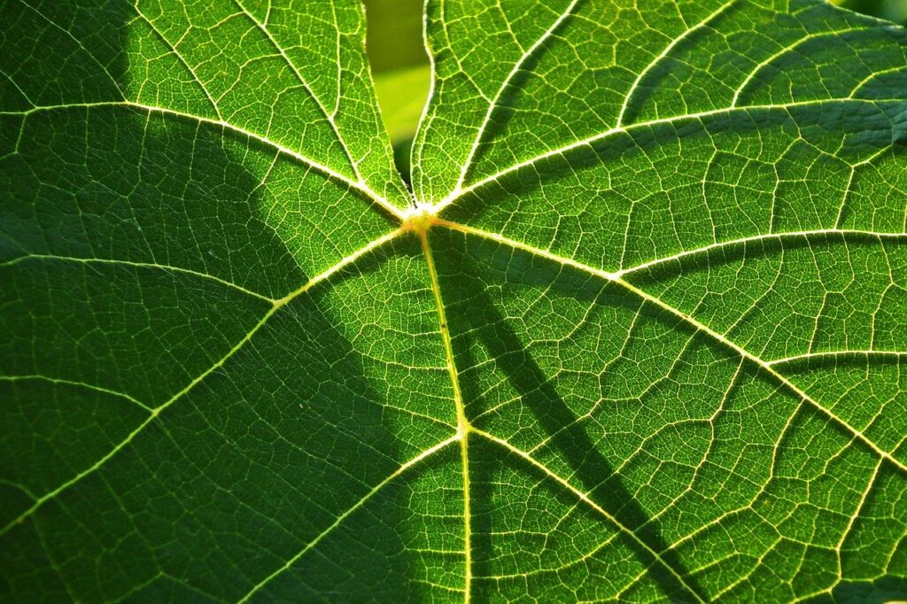 Dagens Horoskop - Tvillingen 25-03-2026