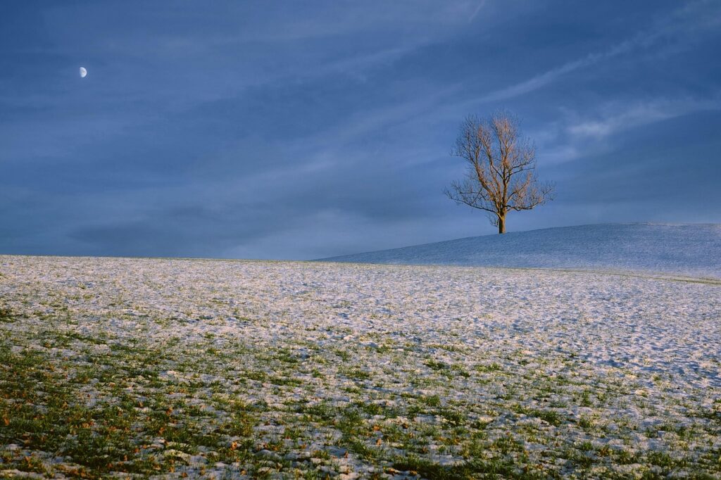 Dagens Horoskop - Vandmanden 30-03-2026