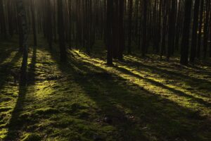 Dagens Horoskop - Vandmanden 25-04-2026