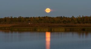 Dagens Horoskop - Tvillingen 11-04-2026