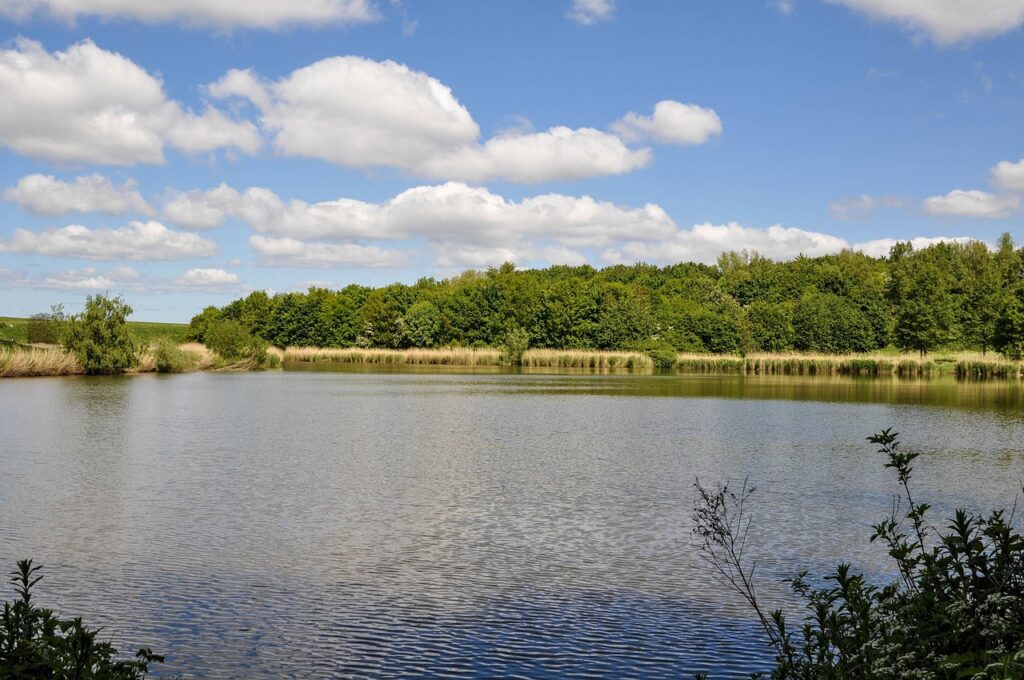 Dagens Horoskop - Vægten 05-04-2026