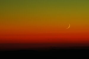 Dagens Horoskop - Skytten 06-04-2026