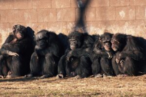 Dagens Horoskop - Tvillingen 07-04-2026