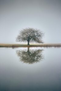 Dagens Horoskop - Jomfruen 09-04-2026