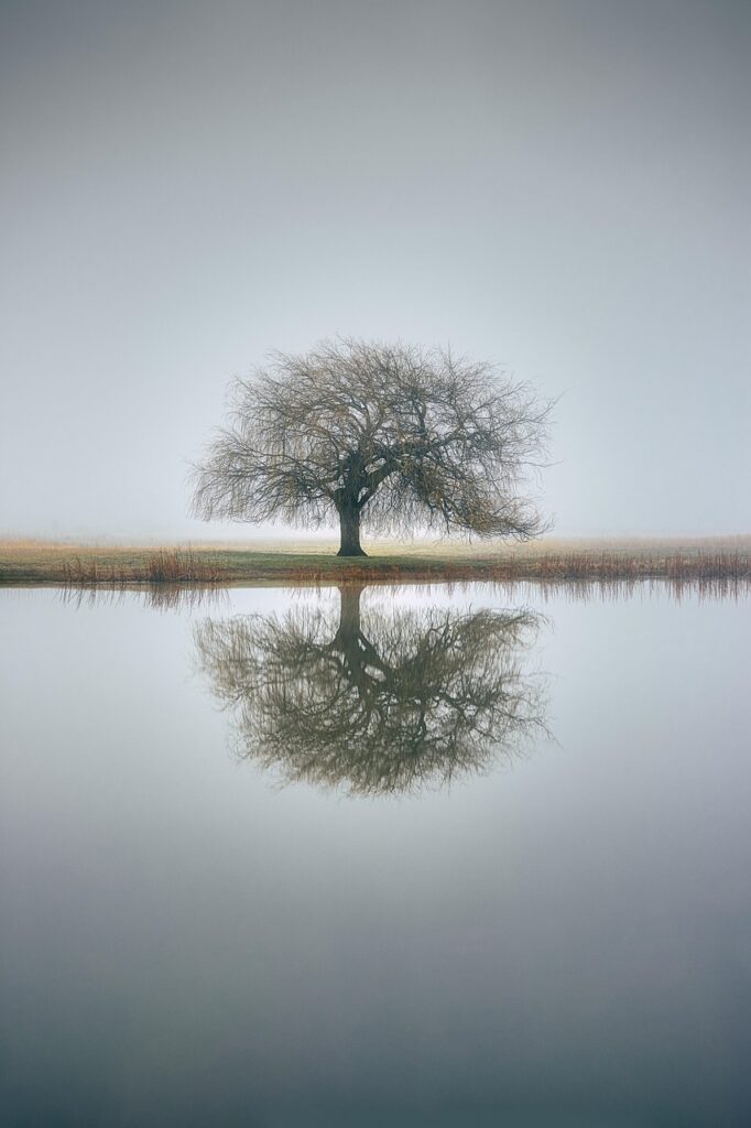 Dagens Horoskop - Jomfruen 09-04-2026