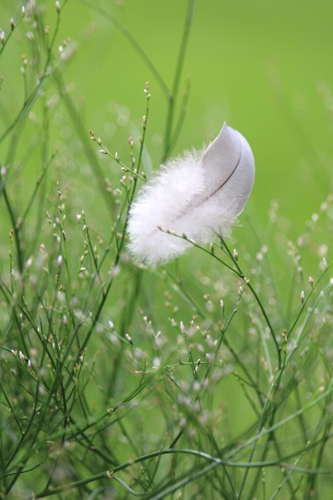 Dagens Horoskop - Tvillingen 09-05-2026