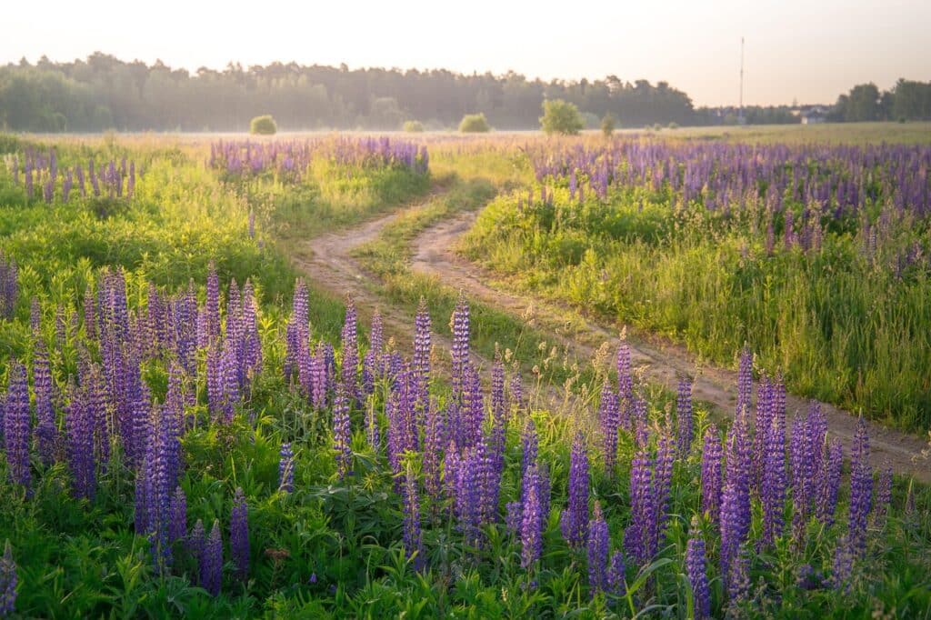 Dagens Horoskop - Tvillingen 18-05-2026
