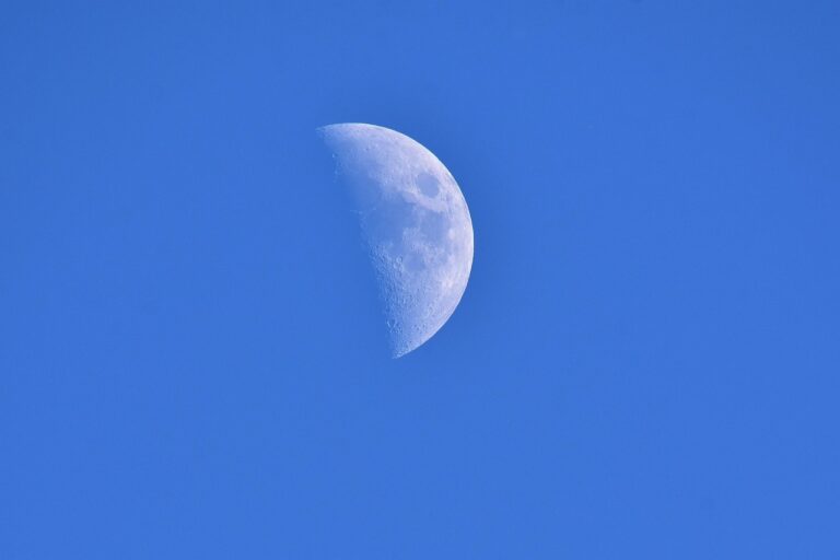 Dagens Horoskop - Fisken 14-06-2026