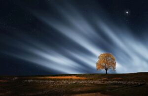 Dagens Horoskop - Tyren 22-06-2026