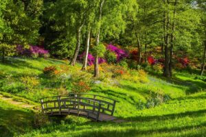 Dagens Horoskop - Vaederren 18-06-2026