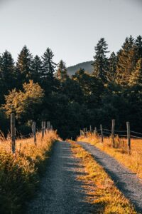 Dagens Horoskop - Vandmanden 28-06-2026