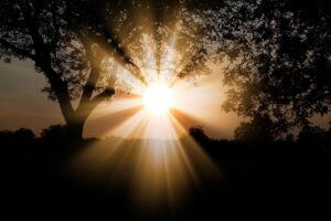 Dagens Horoskop - Vaederren 21-06-2026