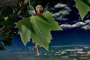 Dagens Horoskop - Skytten 25-06-2026