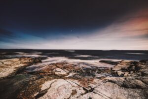 Dagens Horoskop - Løven 27-06-2026